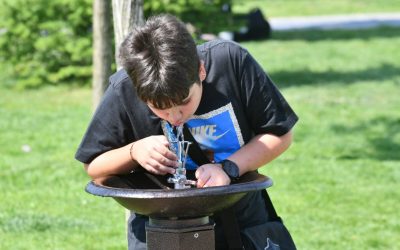 Primăria Sectorului 6: Firma cu 2 angajați, contract pentru cișmele. Cum se justifică