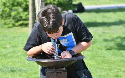 O firmă cu un angajat, plătită regește pentru cișmelele din Sectorul 6