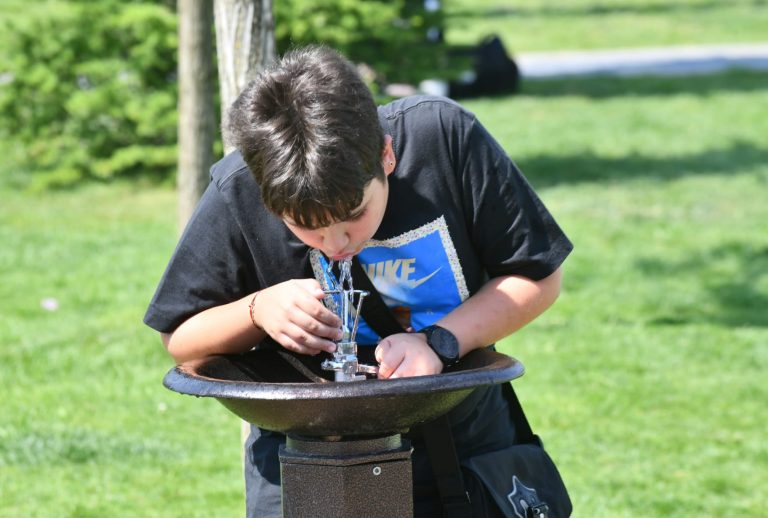 O firmă cu un angajat, plătită regește pentru cișmelele din Sectorul 6