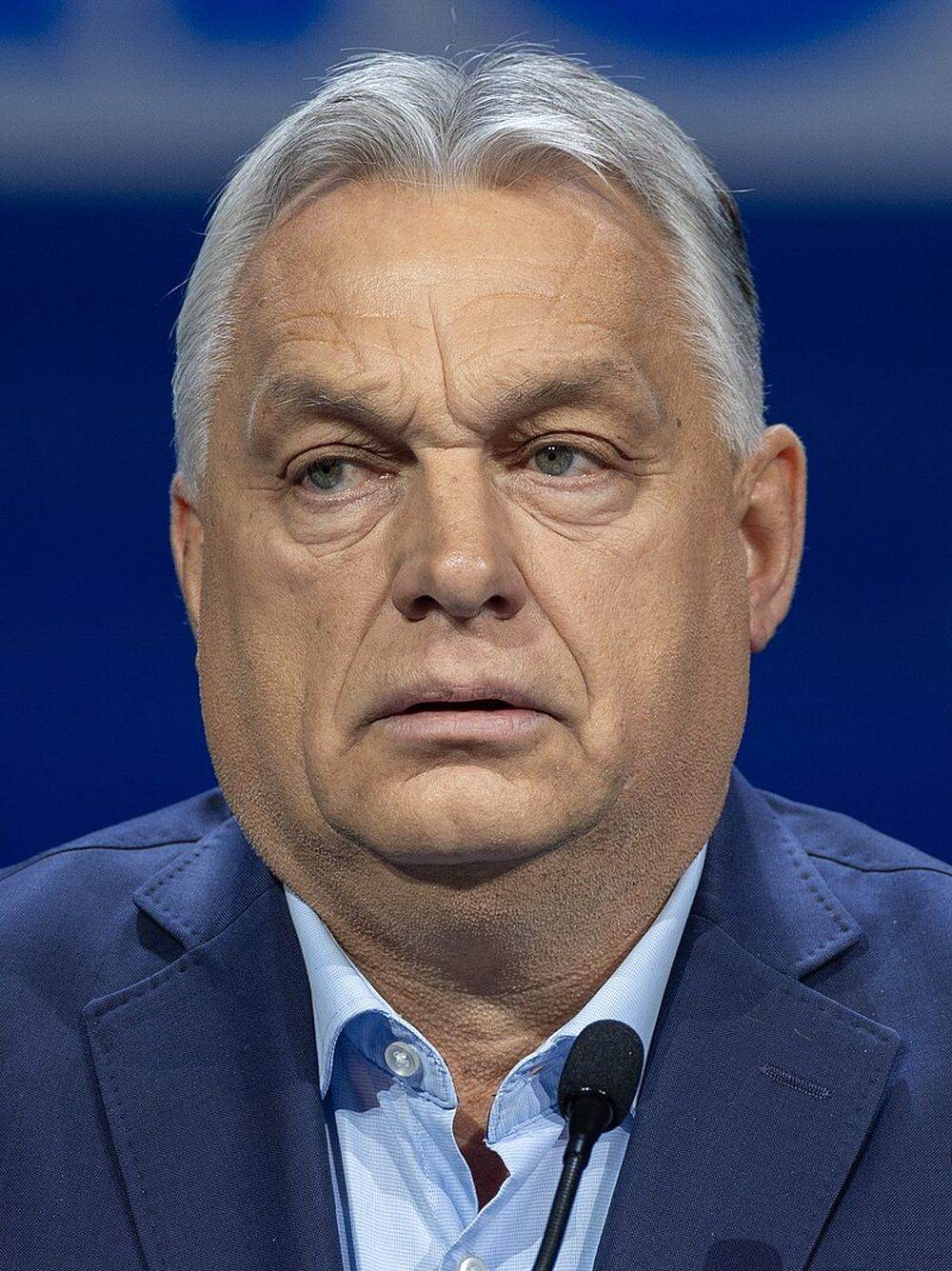 Orban acuză opoziția de sabotaj la votul de duminică, conform AFP