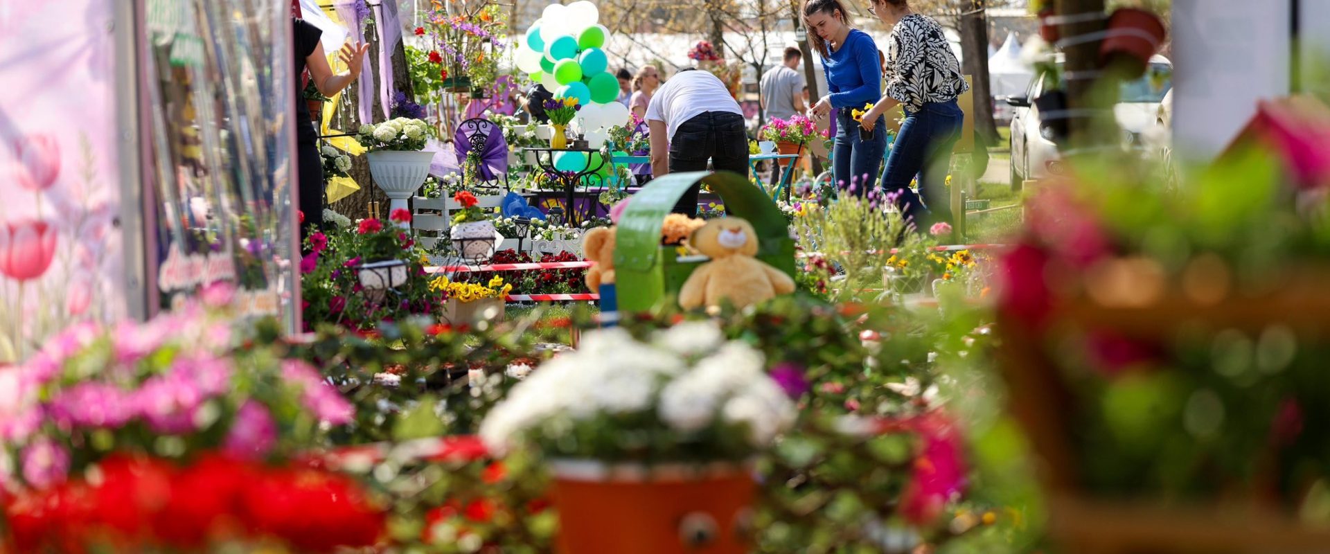 Simfonia Lalelelor, la Pitești: Florari din toată țara își etalează creațiile