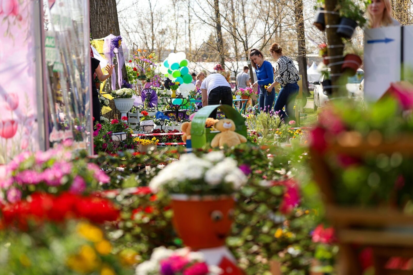 Simfonia Lalelelor, la Pitești: Florari din toată țara își etalează creațiile