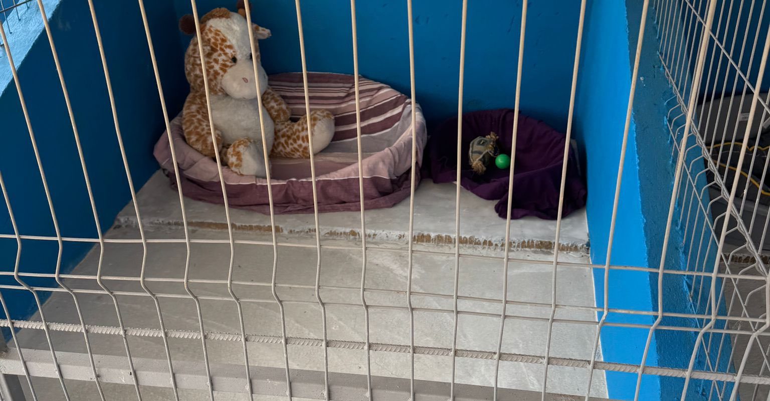 Centru de adopții pentru căței, o premieră în județul Ilfov