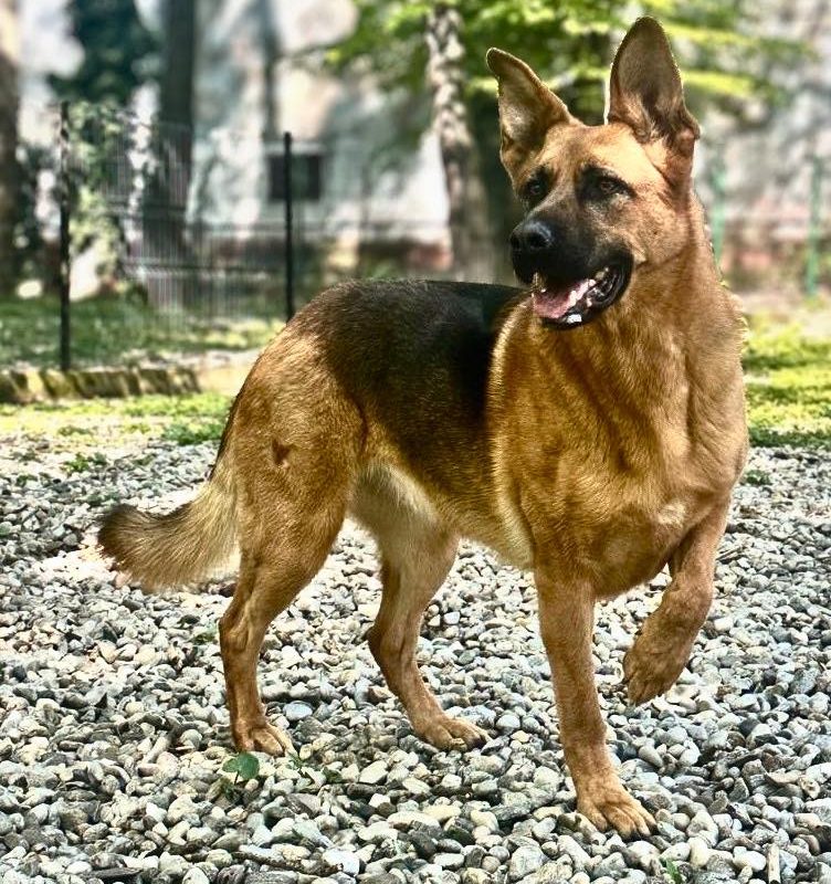 Cum își petrec românii duminica? Sondaj în București, dar și-n țară