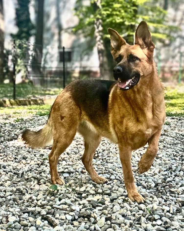 Cum își petrec românii duminica? Sondaj în București, dar și-n țară