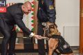 Poliția, după pensionarea unui câine antidrog: „Bombă de drăgălășenie”