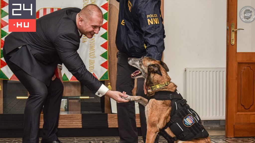 Poliția, după pensionarea unui câine antidrog: „Bombă de drăgălășenie”