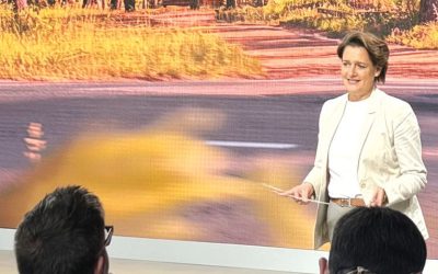 România, blocată-n crize, ratează șansa: BMW și BYD în Ungaria, Dacia în Turcia