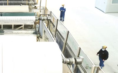 Sofidel, producătorul Regina, bagă aproape 10 milioane euro în afaceri la Călărași