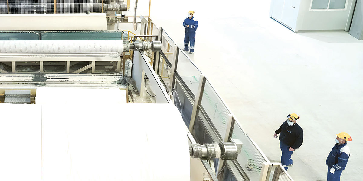 Sofidel, producătorul Regina, bagă aproape 10 milioane euro în afaceri la Călărași