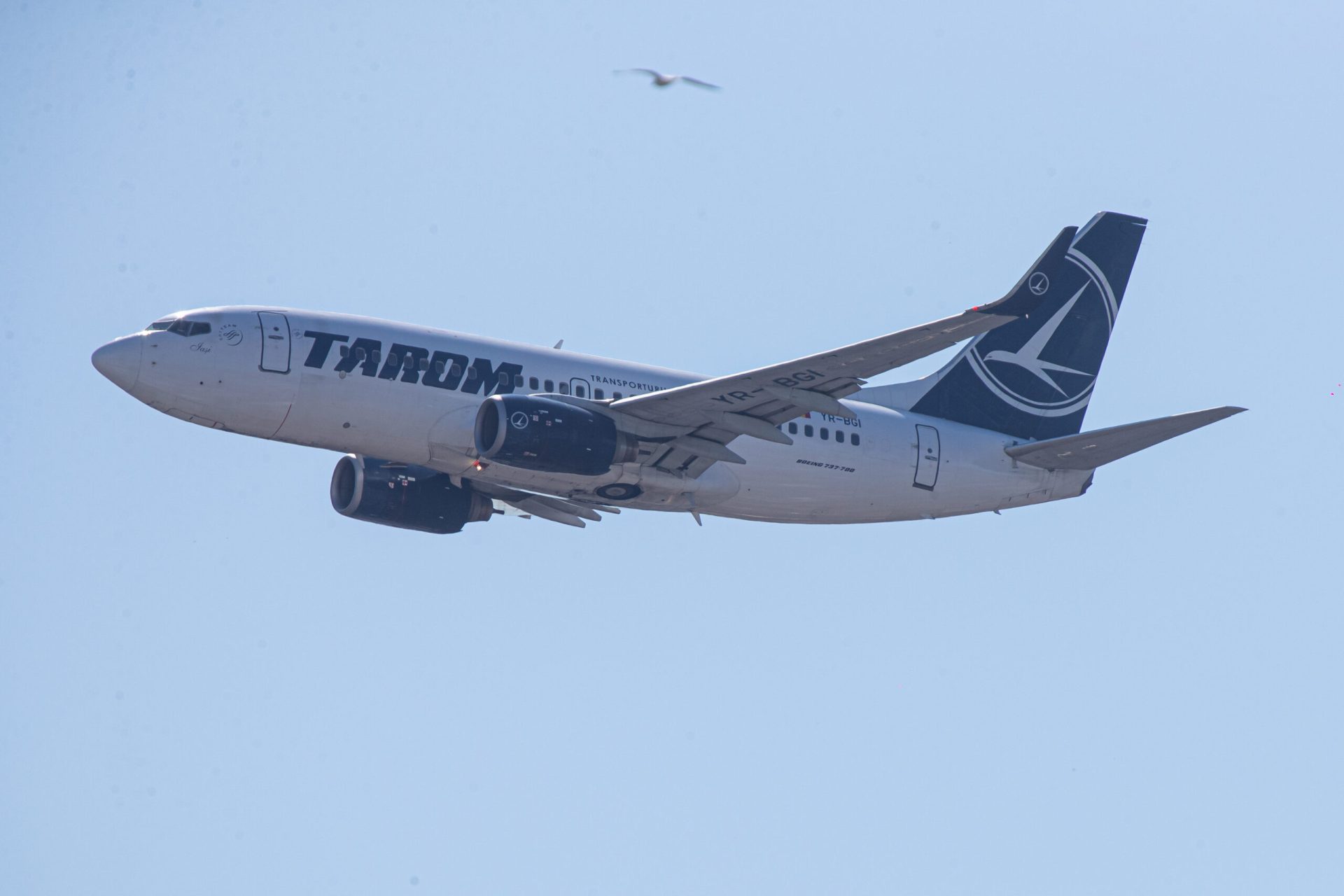 Sindicaliștii TAROM, protest în Piața Victoriei: Acuză Guvernul că „distruge compania”