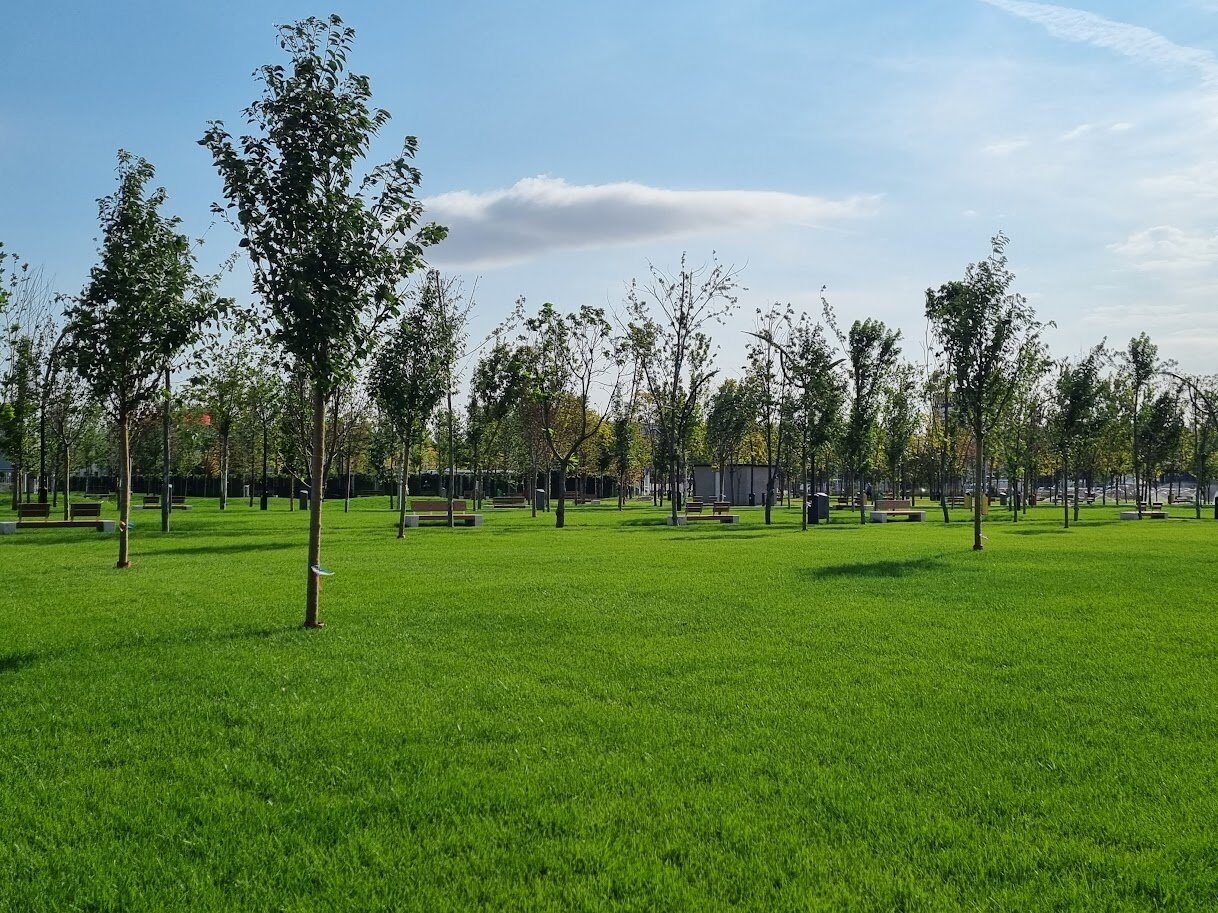 Băluță dă lovitura: Un parc în sectorul 4 va purta numele lui Donald j Trump