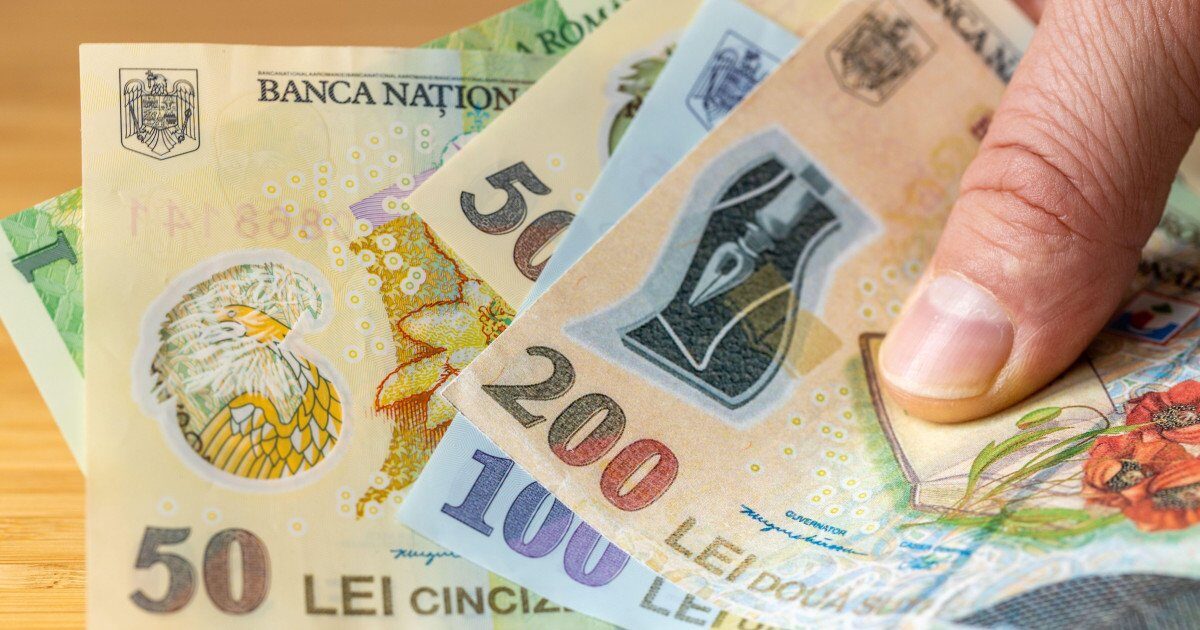 Banca Națională, ANCHETĂ gigant: 12.000 de gospodării, luate la bani mărunți