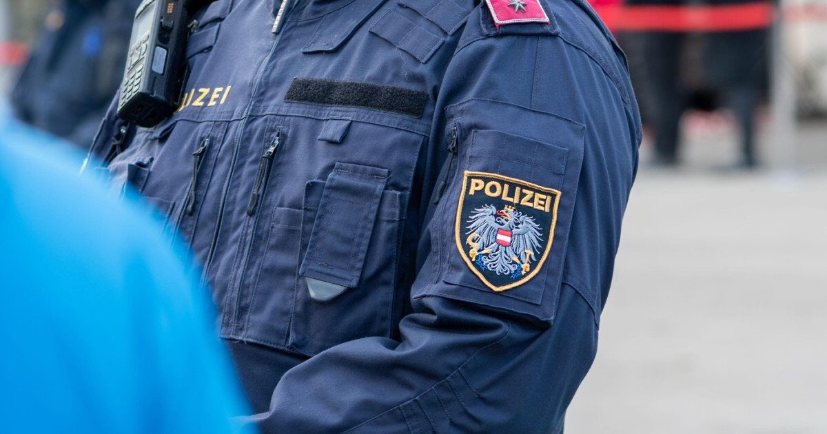 Bandă de escroci români, reținută de poliția din Viena