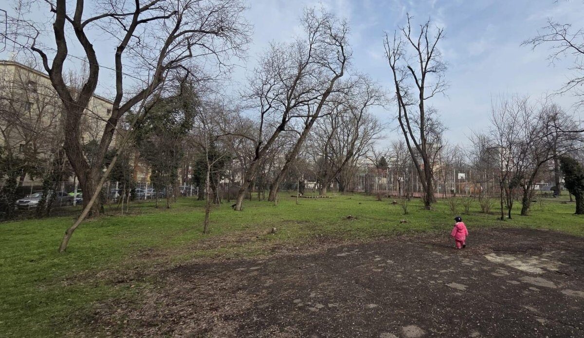 Birocrația ucide Cireșarii: Copiii în pericol, 15.000€ pentru pădure ignorați
