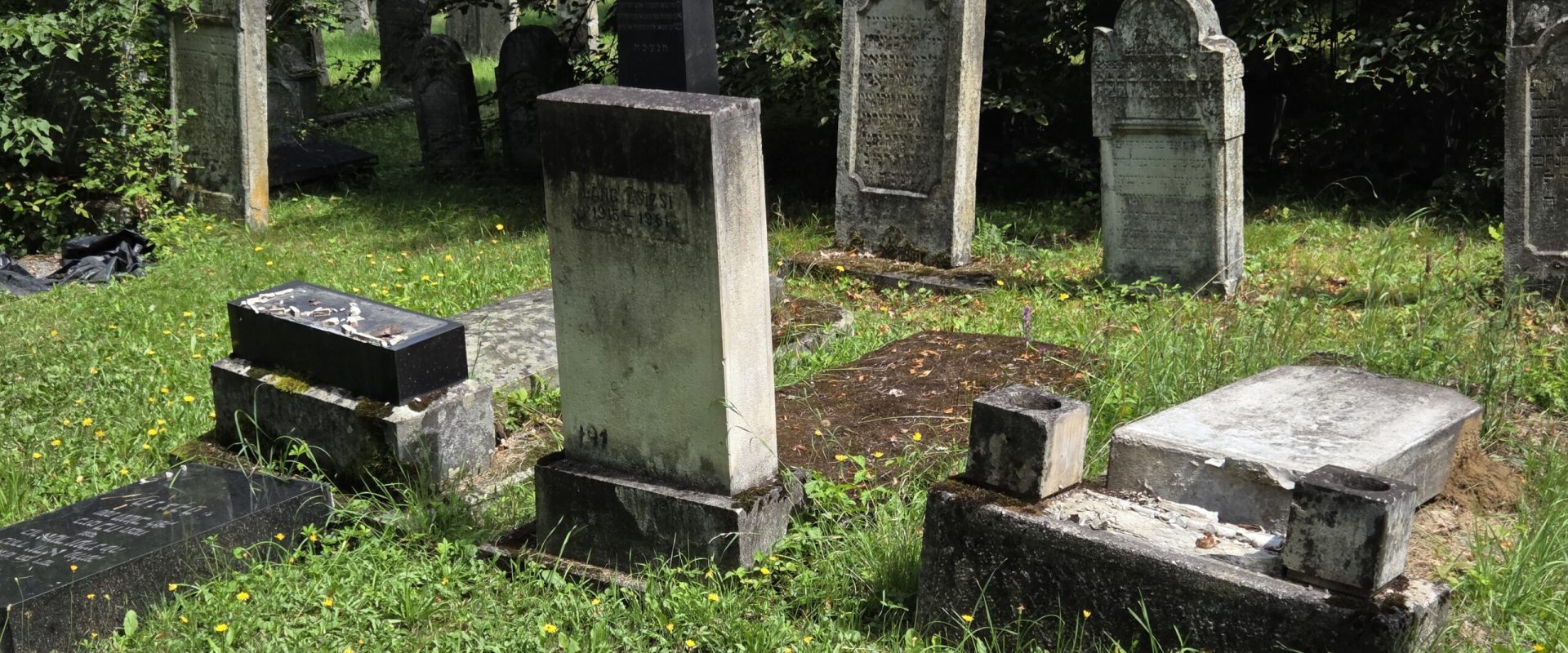 Vandalism la Reghin: Un parlamentar israelian, pe urmele străbunicului Rabin