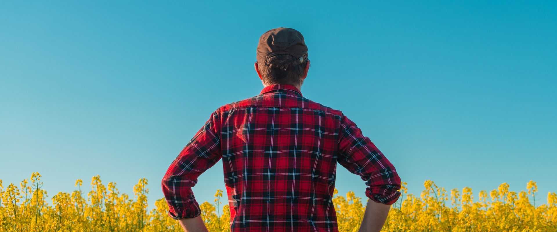 Ce ascunde „manosphere”? Politicienii cer măsuri pentru bărbați în Marea Britanie