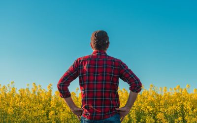 Ce ascunde „manosphere”? Politicienii cer măsuri pentru bărbați în Marea Britanie