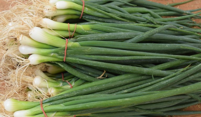 Ceapă verde în pahar: Trucul genial fără pământ. Cultivă ușor, acasă