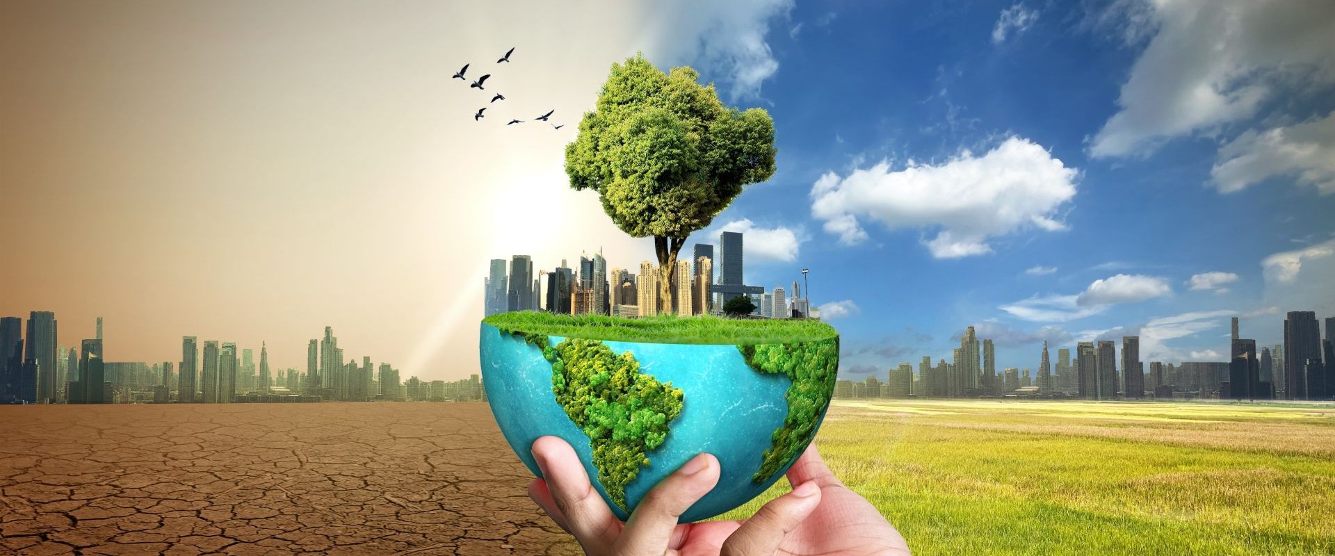 Schimbările climatice: Efecte ce persistă peste generații, arată un studiu