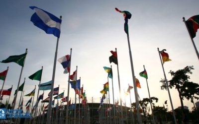 Prăbușirea birocrațiilor globale: Cum își trădează ordinea menirea