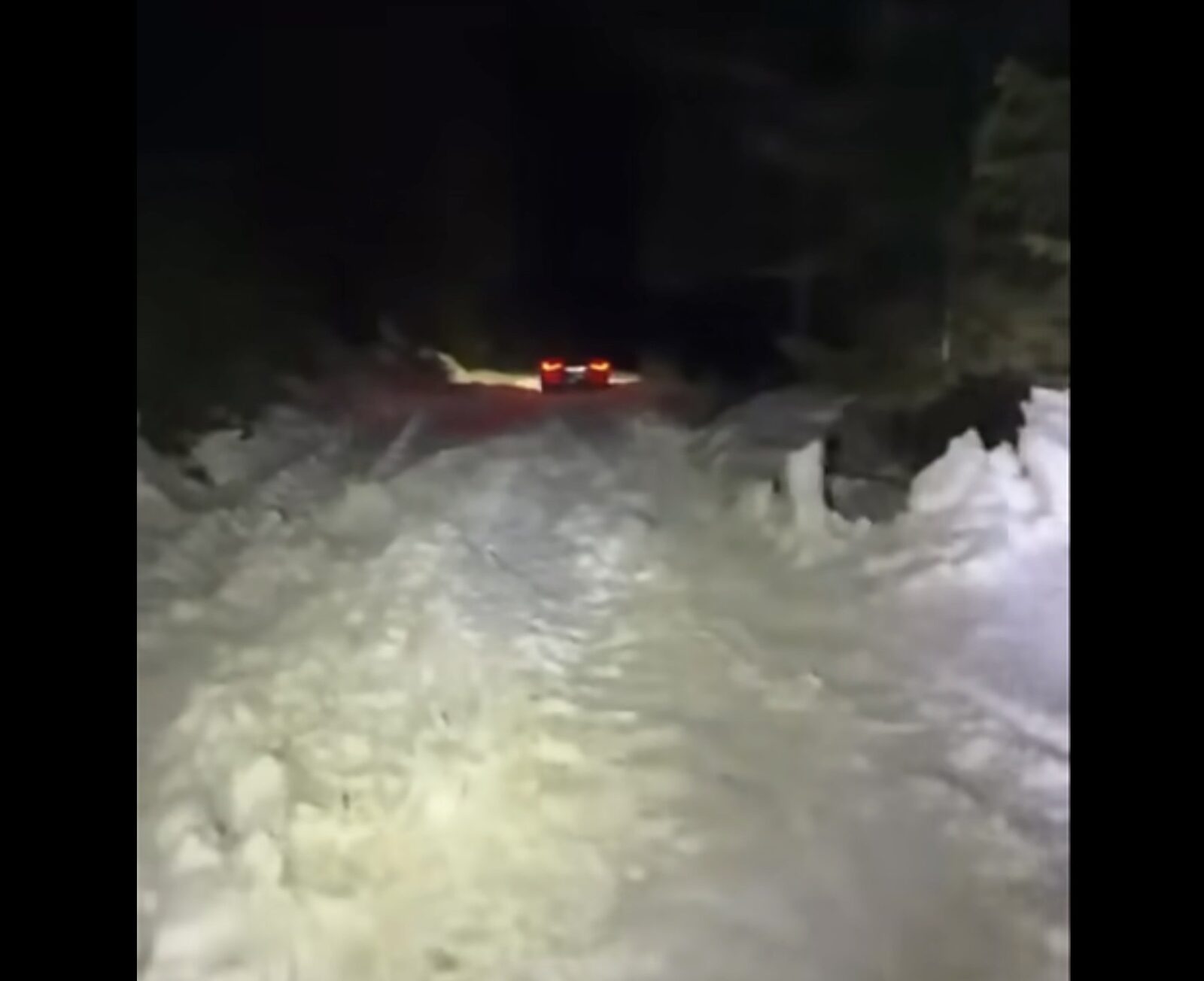 Bărbat și fiul său, prinși în zăpadă în Cheile Oltețului, de Înviere. Intervin jandarmii