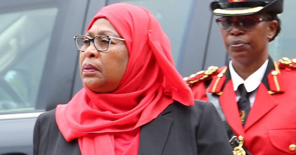 Local miners, investors in Tanzania set to take over mining rights as government revokes 40 exploration licences