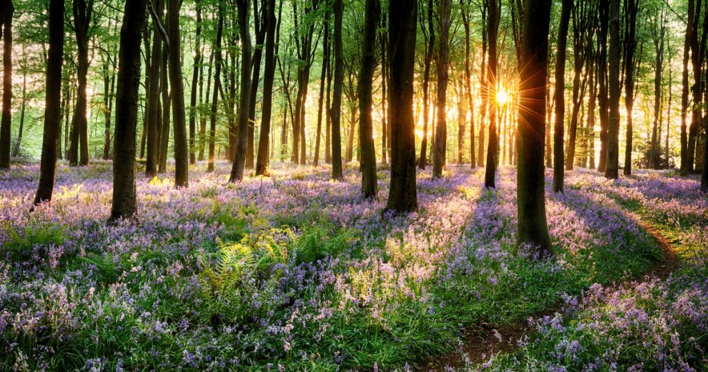 Ce aduce vremea după frigul de aprilie: Prognoza pentru 4 săptămâni