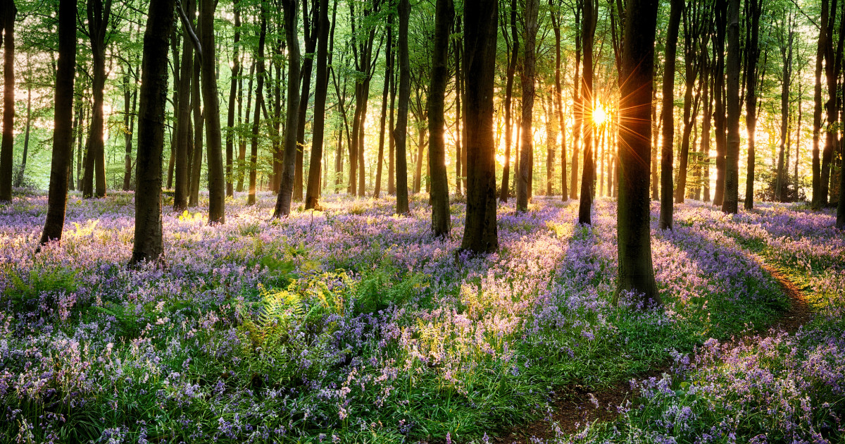 Ce aduce vremea după frigul de aprilie: Prognoza pentru 4 săptămâni