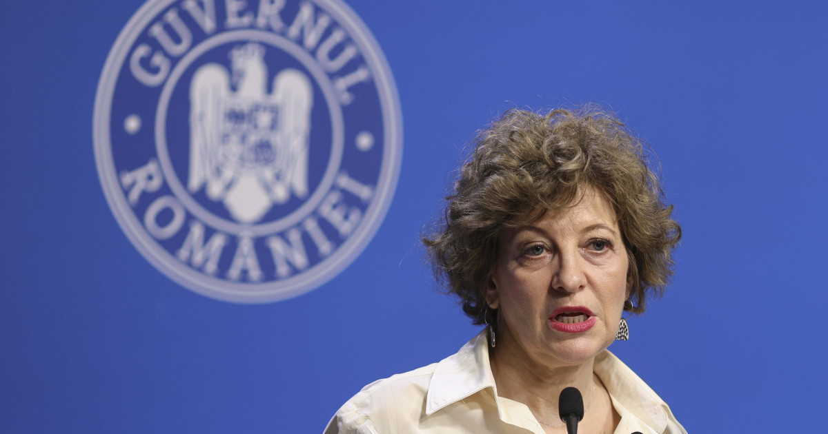 Guvernul a selectat firmele pentru PNRR: Oana Gheorghiu, detalii despre companii