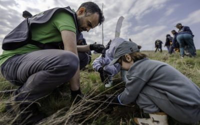 Oscar Downstream și Pădurea Copiilor, extindere majoră la Sinești: 15.000 de puieți și 3 hectare