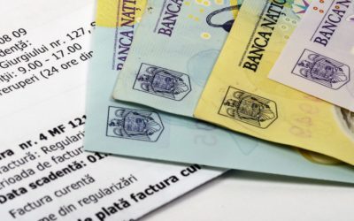 Proiect: Facturile în valută, calculate la cursul BNR obligatoriu
