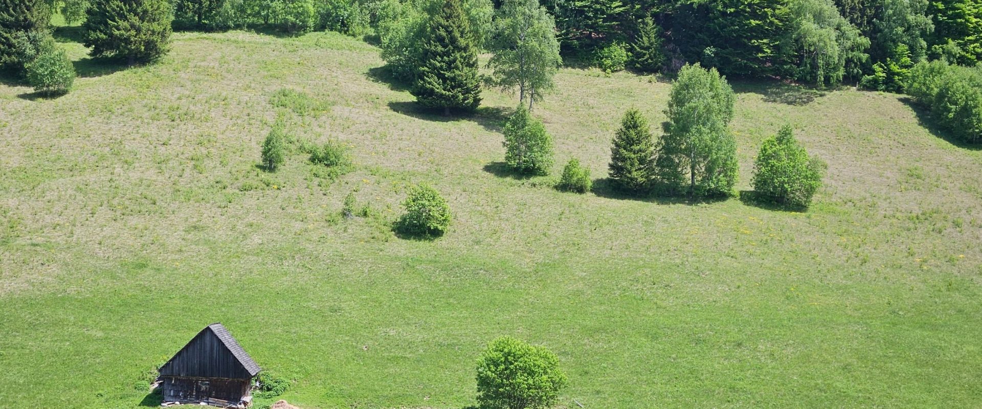 Vremea în România: Prognoza pe două săptămâni, regiune cu regiune