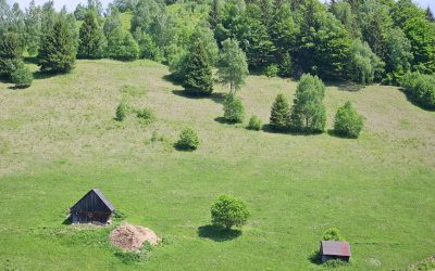 Vremea în România: Prognoza pe două săptămâni, regiune cu regiune