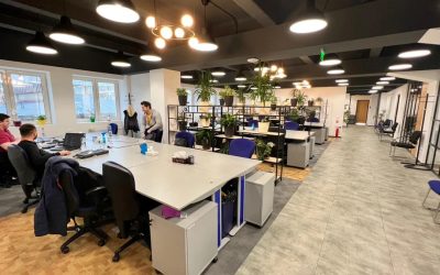 Pentalog România, în picaj: Număr minim de angajați din 2014, afaceri în declin