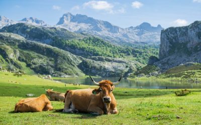 Locul din Europa, mai frumos decât în povești, pe care NU-l știai