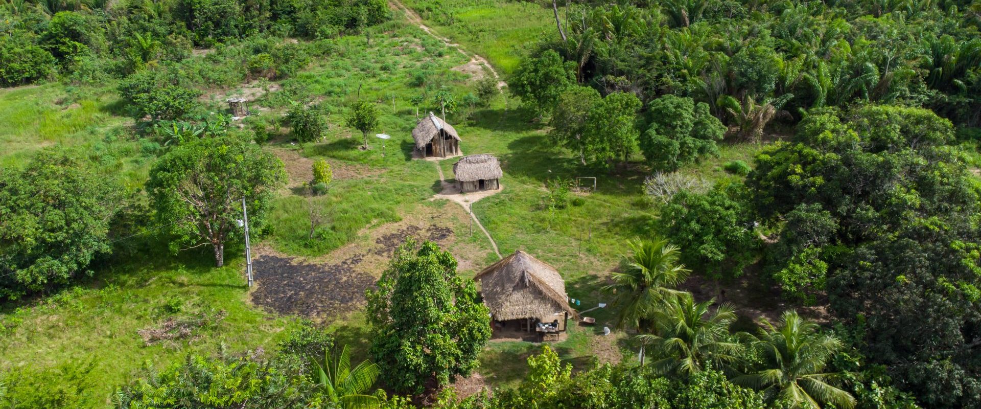 Drumuri antice, vechi de 2.700 de ani, dezvăluite în inima Amazonului