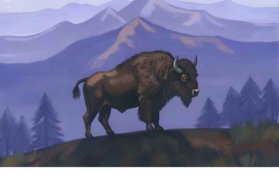 România, pe harta mondială a sunetelor naturii: Earth FM aduce sunete din țară