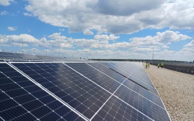 Băieții „deștepți” își vând parcurile solare pe OLX: Autoritățile tac?