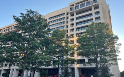 FMI, Vestea Proastă: Recesiune la Orizont și Prognoze Economice Negre