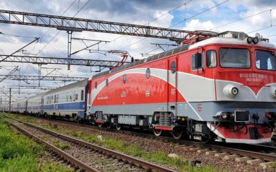 Blocaj total pe ruta Brașov-Sighișoara: Un copac a pus trenurile pe STOP