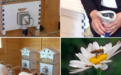 Aer din stup: Apiterapie, noua „minune” pentru sănătate. Unde în România se practică