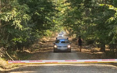 Ministerul Mediului câștigă procesul pentru drumul din pădurea Băneasa