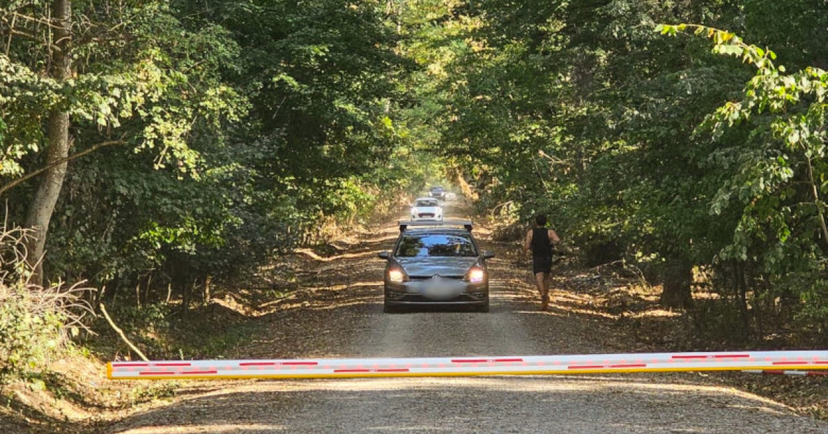 Ministerul Mediului câștigă procesul pentru drumul din pădurea Băneasa