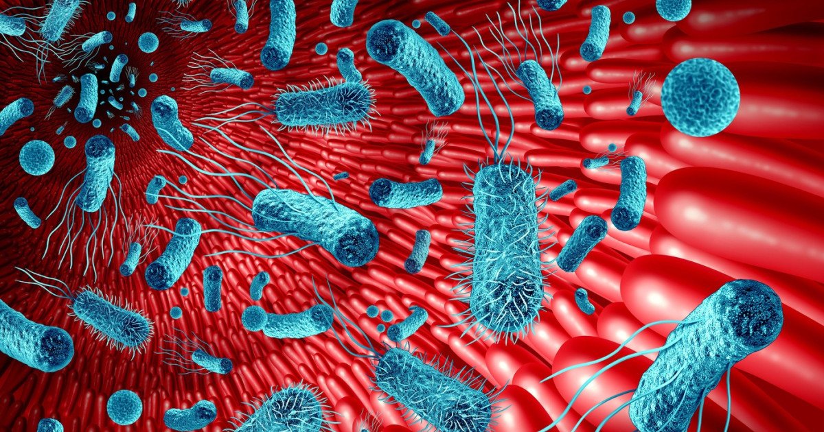 Intestinul, „al doilea creier”: Cum ne influențează microbiomul memoria și sănătatea