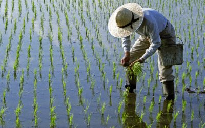 Lipsa combustibilului, efect direct al războiului din Iran: Asia, sub amenințarea foametei