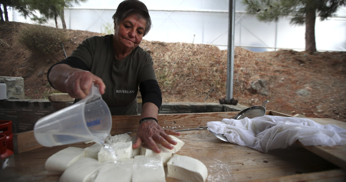 Brânza Halloumi, în criză: Fermierii ciprioți, loviți de o boală mortală. Intervine acordul cu turcii?