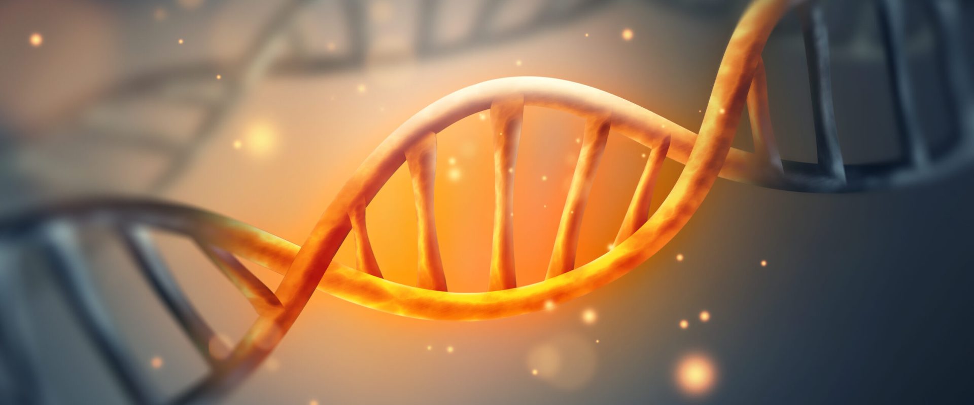 Unde să căutăm răspunsul? Misterul originii codului genetic, dezvăluit