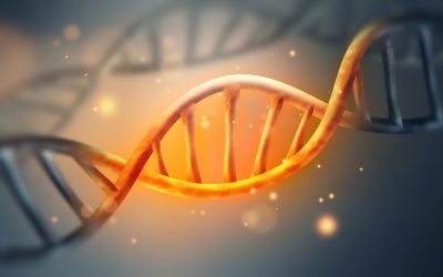 Unde să căutăm răspunsul? Misterul originii codului genetic, dezvăluit