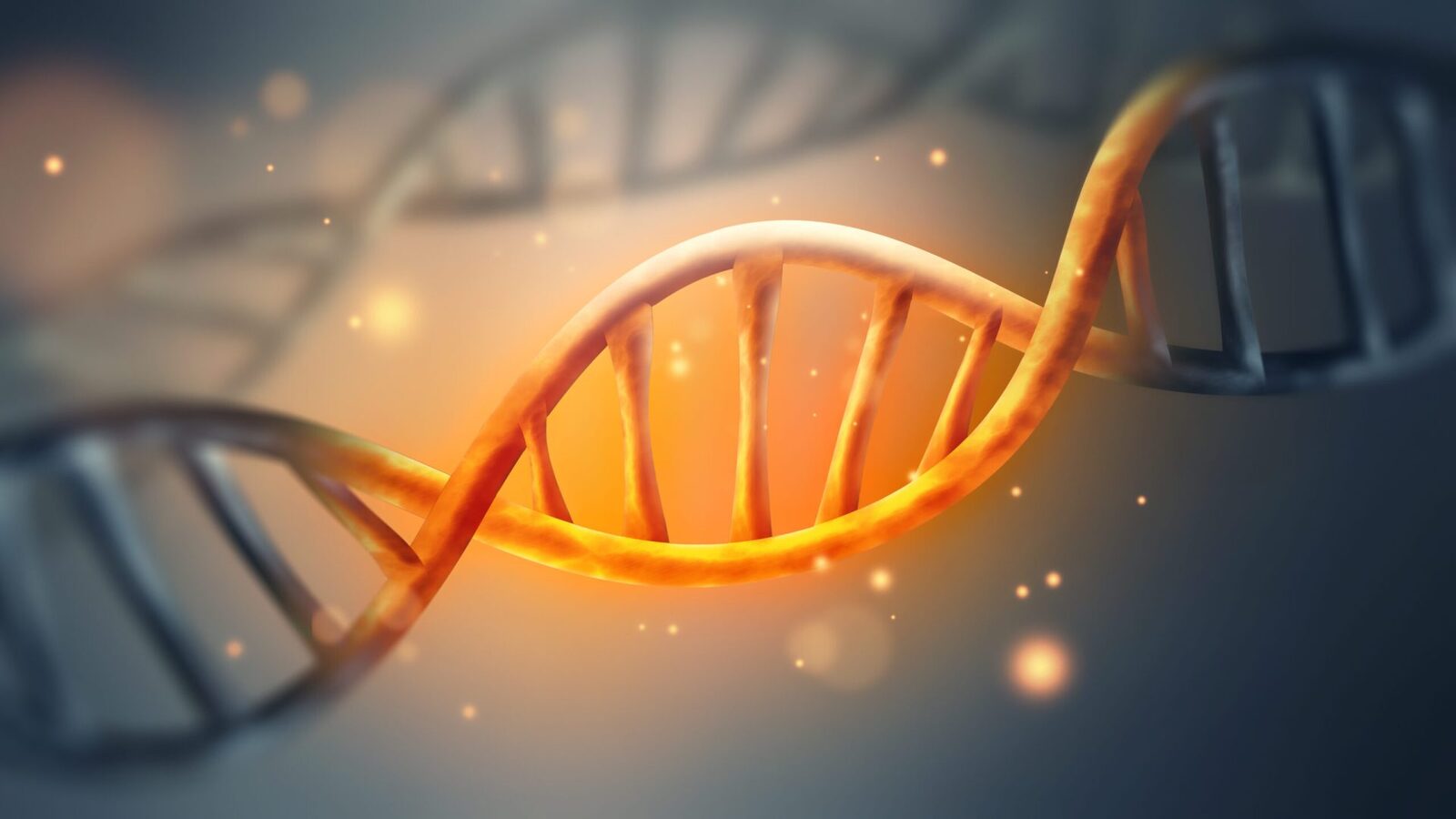 Unde să căutăm răspunsul? Misterul originii codului genetic, dezvăluit